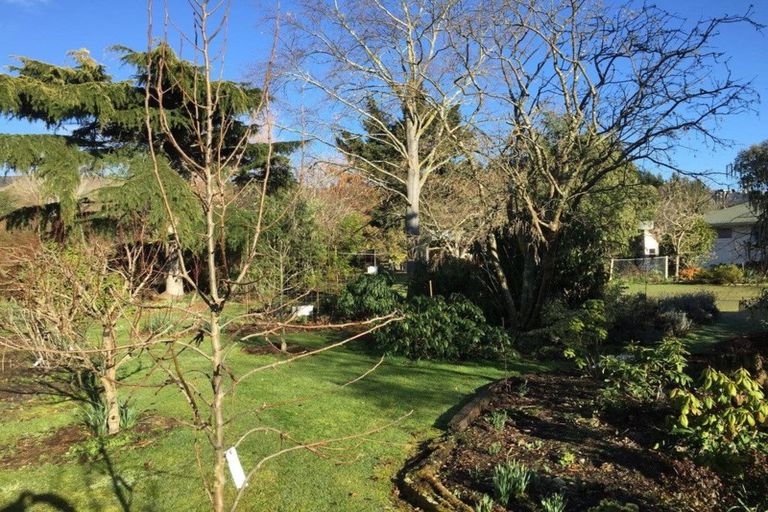 Photo of property in 77 Mill Road, Waimate, 7924