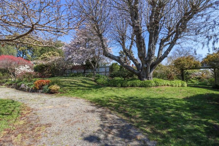 Photo of property in 18 Park Lane, Highfield, Timaru, 7910