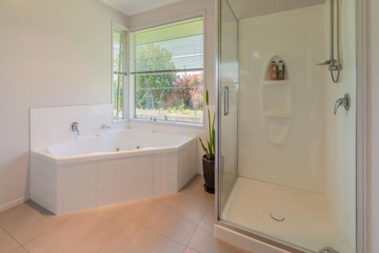 Photo of property in 233 Waipapa Block Road, Whakamarama, Tauranga, 3180