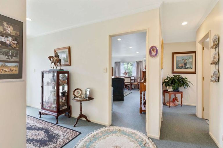 Photo of property in 61 Winchester Street, Levin, 5510