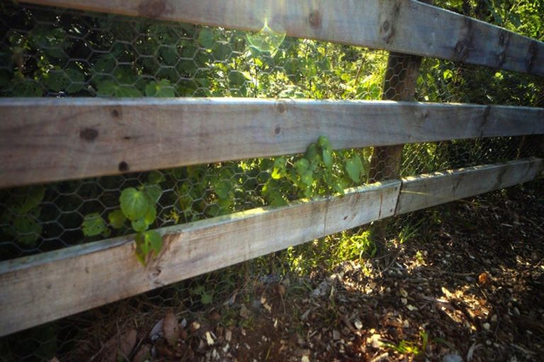 Photo of property in 629e Tara Road, Mangawhai, Kaiwaka, 0573