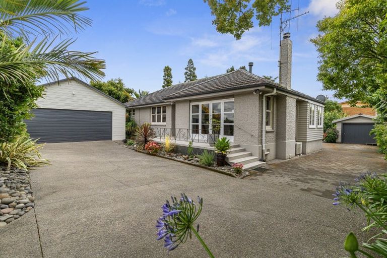 Photo of property in 19 Bailey Avenue, Claudelands, Hamilton, 3214