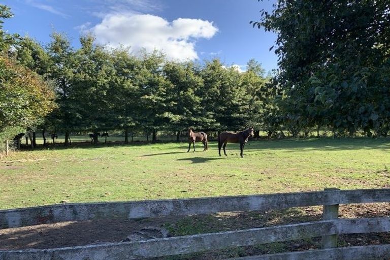 Photo of property in 114 Mcdrurys Road, Halswell, Christchurch, 7674