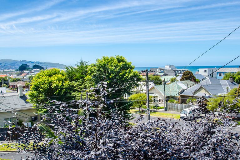 Photo of property in 60 Norfolk Street, Saint Clair, Dunedin, 9012