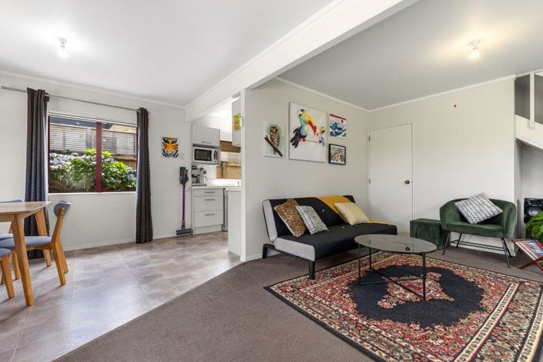 Photo of property in 59a Chadwick Road, Greerton, Tauranga, 3112