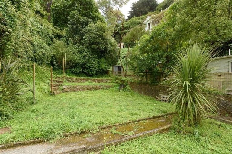 Photo of property in 11 Adams Terrace, Aro Valley, Wellington, 6021