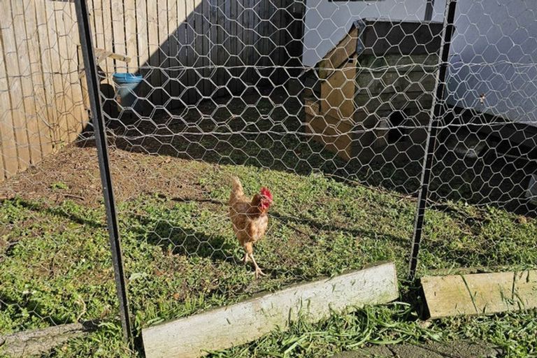 Photo of property in 38 Guy Road, Kaikohe, 0405