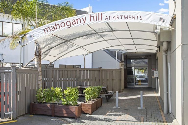 Photo of property in 9/5 Massey Avenue, Greenlane, Auckland, 1061