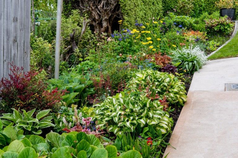 Photo of property in 108 Ravenswood Road, Saint Clair, Dunedin, 9012