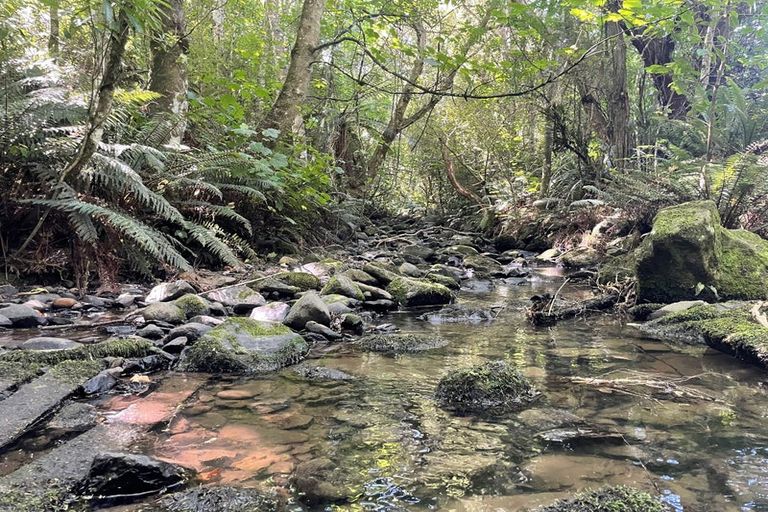 Photo of property in 28 Patmos Avenue, Woodhaugh, Dunedin, 9010