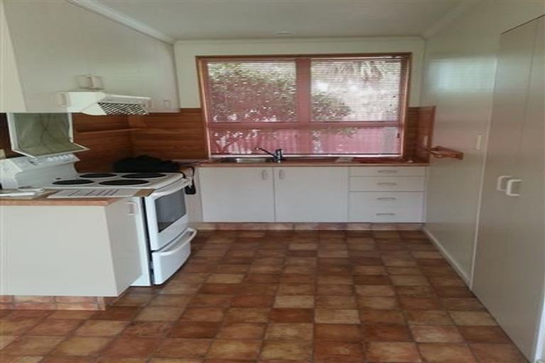 Photo of property in 20 Elzy Street, Blenheim, 7201