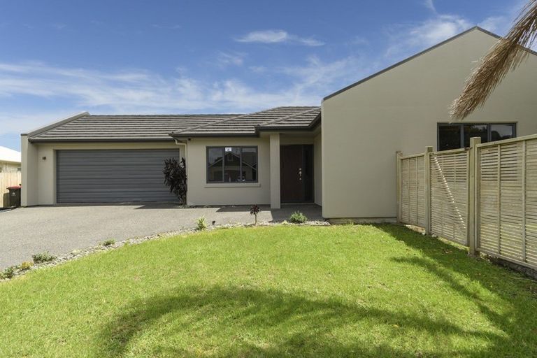Photo of property in 113 Solomon Street, Brookfield, Tauranga, 3110