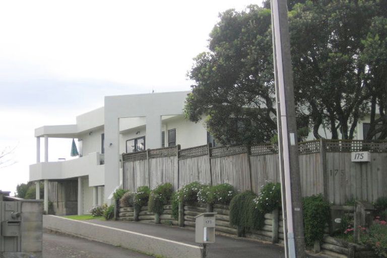 Photo of property in 175a Oceanbeach Road, Mount Maunganui, 3116