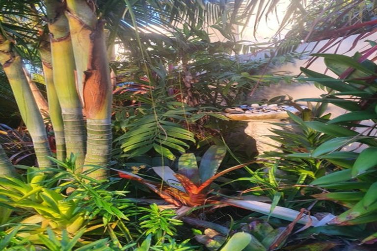 Photo of property in 4 Cordyline Way, One Tree Point, 0118