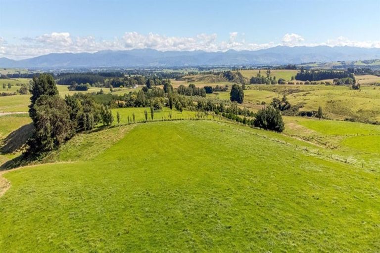 Photo of property in 7 Ranginui Drive, Kaiapoi, 7630