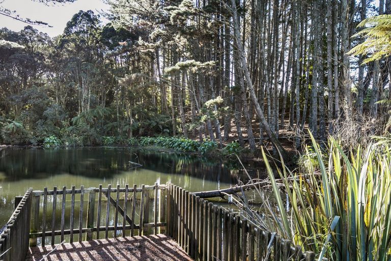 Photo of property in 6 Nandina Lane, Pukekohe, 2120