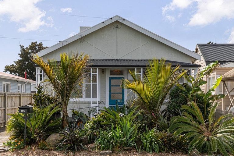 Photo of property in 115 Fenton Street, Thames, 3500