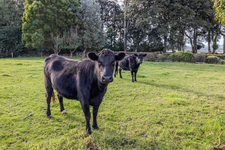 Photo of property in 315 Remuera Settlement Road, Ohaeawai, Kaikohe, 0472