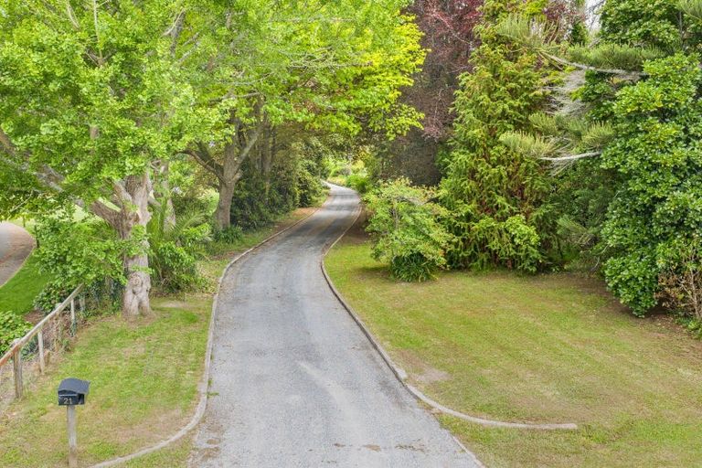 Photo of property in 21 Lindsay Road, Levin, 5510