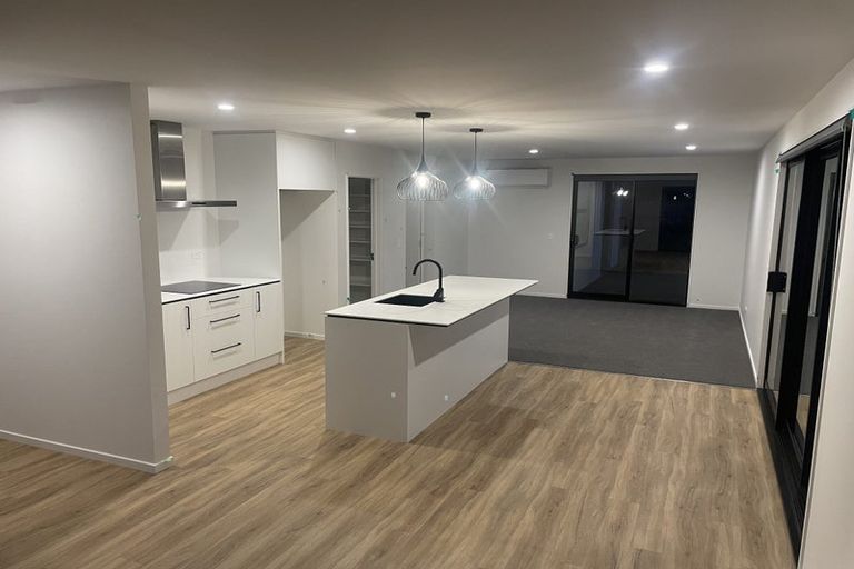 Photo of property in 79 Nethercote Way, Rolleston, 7614