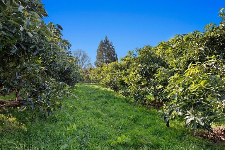 Photo of property in 333 Paerata Ridge Road, Waiotahe, Opotiki, 3198