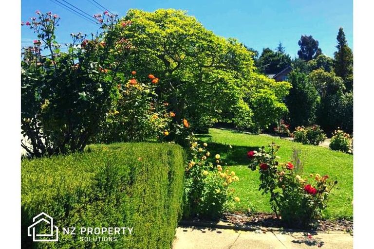 Photo of property in 67a Manor Place, Dunedin Central, Dunedin, 9016