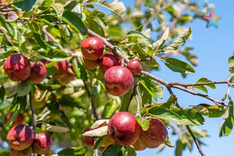 Photo of property in 6 Foster Street, Taita, Lower Hutt, 5011