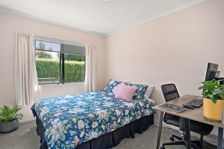 Photo of property in 45 Solomon Street, Brookfield, Tauranga, 3110