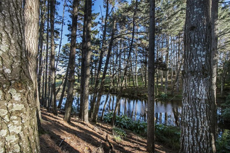 Photo of property in 6 Nandina Lane, Pukekohe, 2120