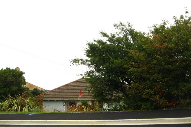 Photo of property in 30 Panmure Avenue, Calton Hill, Dunedin, 9012