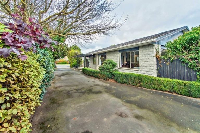 Photo of property in 67 Market Street, Leeston, 7632