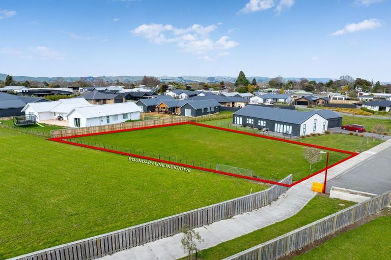 Photo of property in 71 Miro Street, Lansdowne, Masterton, 5810