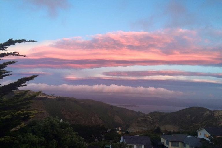 Photo of property in 22 Rajkot Terrace, Broadmeadows, Wellington, 6035