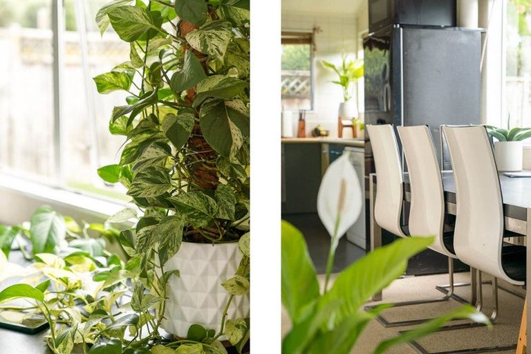 Photo of property in 280a Range Road, Papamoa Beach, Papamoa, 3118