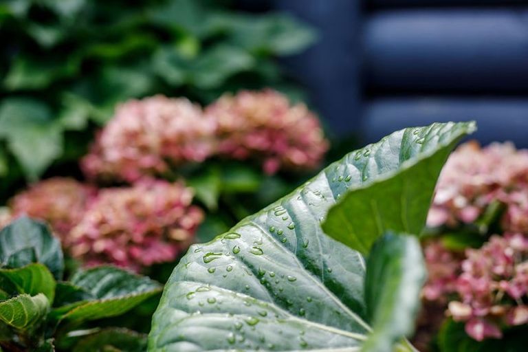 Photo of property in 61 Appenzell Drive, Whakatane, 3120