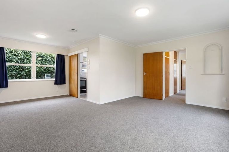 Photo of property in 163 Clarkin Road, Fairfield, Hamilton, 3214