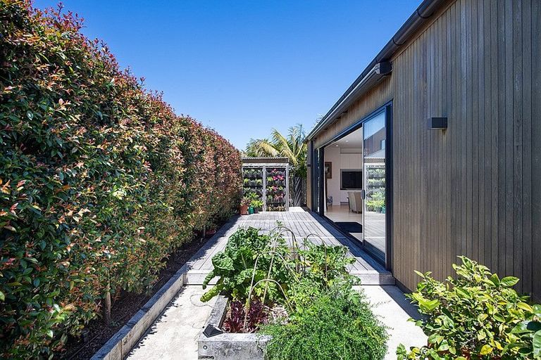 Photo of property in 12a Park Avenue, Takapuna, Auckland, 0622