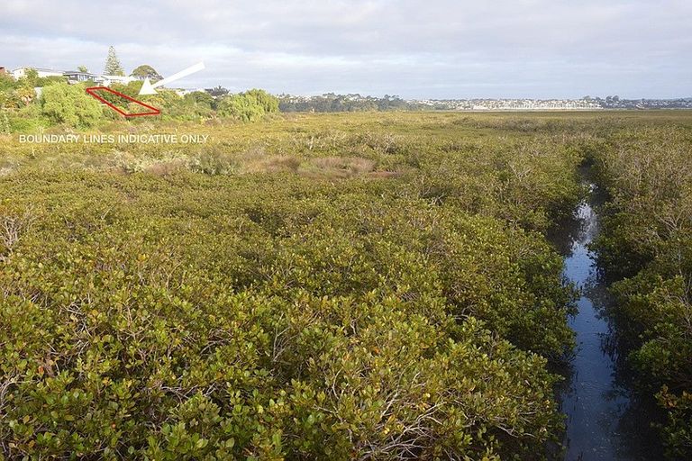 Photo of property in 38a Rewarewa Road, Te Atatu Peninsula, Auckland, 0610