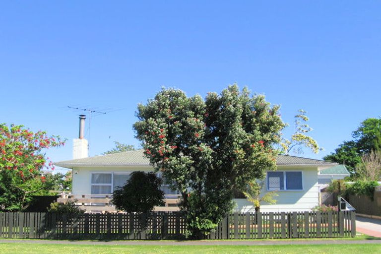 Photo of property in 8 Winter Street, Mangapapa, Gisborne, 4010