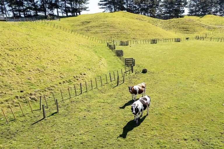 Photo of property in 450 Waitarere Beach Road, Waitarere, Levin, 5574