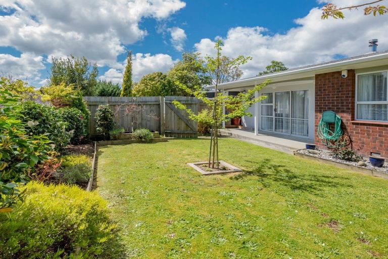 Photo of property in 36 Rimu Street, Levin, 5510