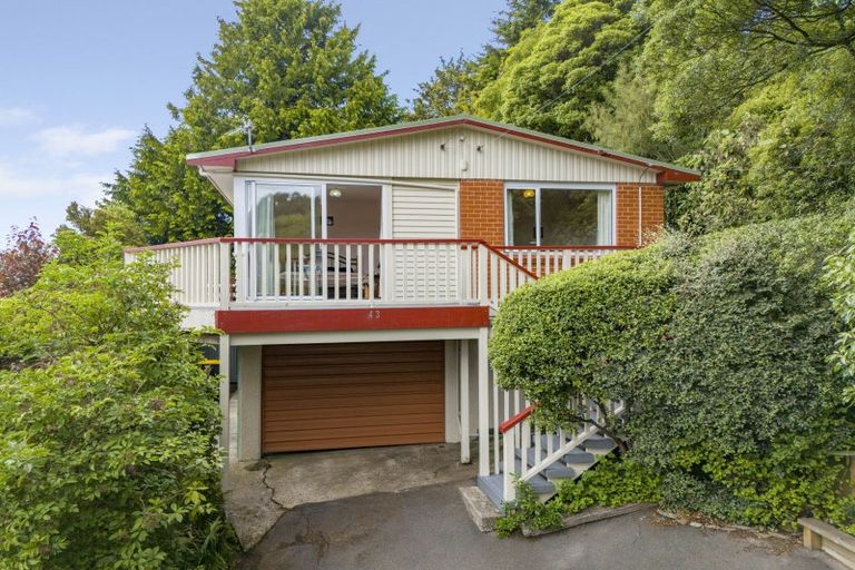 Photo of property in 43 Falcon Street, Kaikorai, Dunedin, 9010