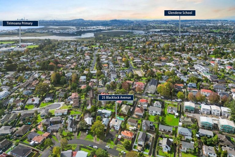 Photo of property in 25 Blacklock Avenue, Henderson, Auckland, 0612