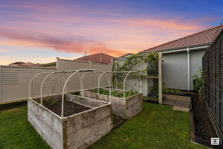 Photo of property in 11 Carnoustie Place, Aongatete, Katikati, 3178