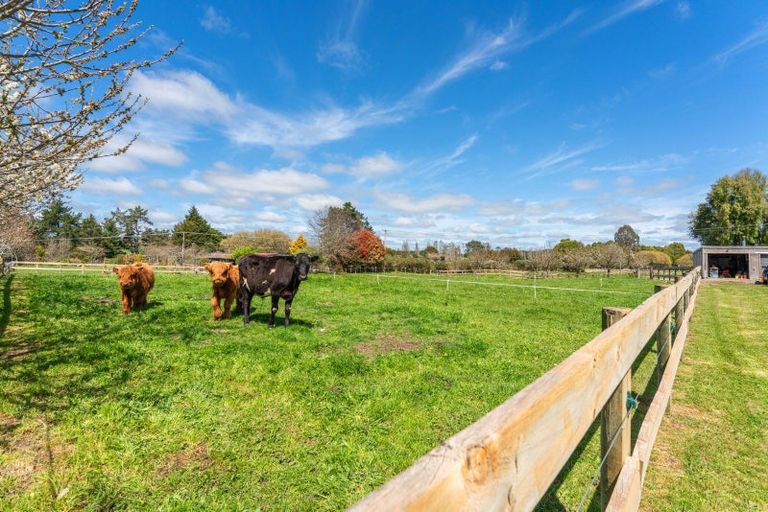 Photo of property in 8 Mangamingi Road, Mihi, Reporoa, 3083