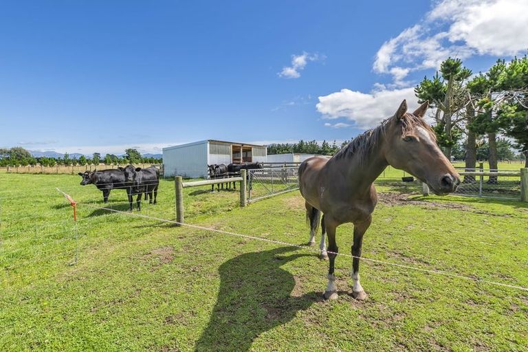 Photo of property in 507 Browns Rock Road, Burnt Hill, Oxford, 7495