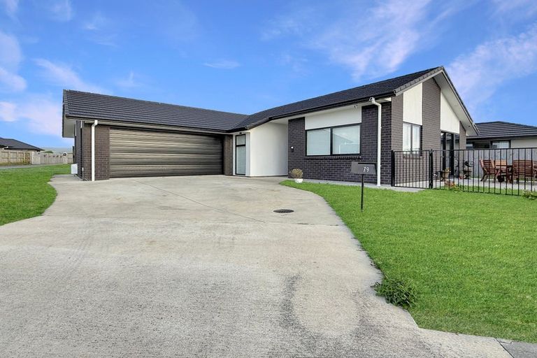 Photo of property in 79 Hinemoa Street, Levin, 5510