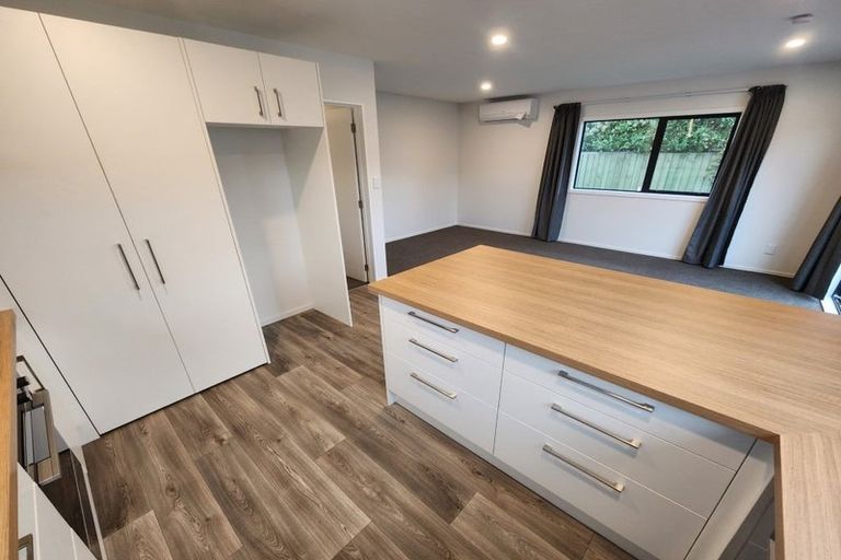 Photo of property in 47 Damien Place, Bromley, Christchurch, 8062