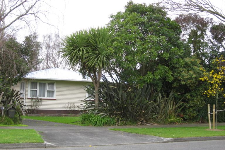 Photo of property in 12 Hobson Street, Levin, 5510