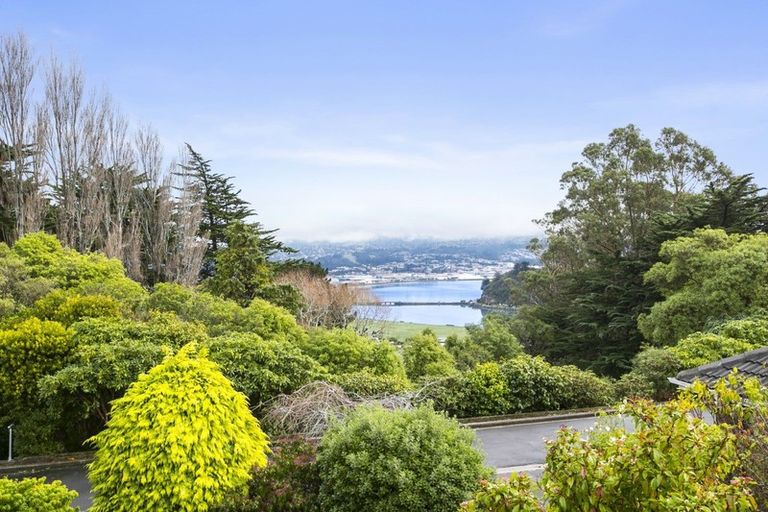 Photo of property in 49a Highcliff Road, Andersons Bay, Dunedin, 9013